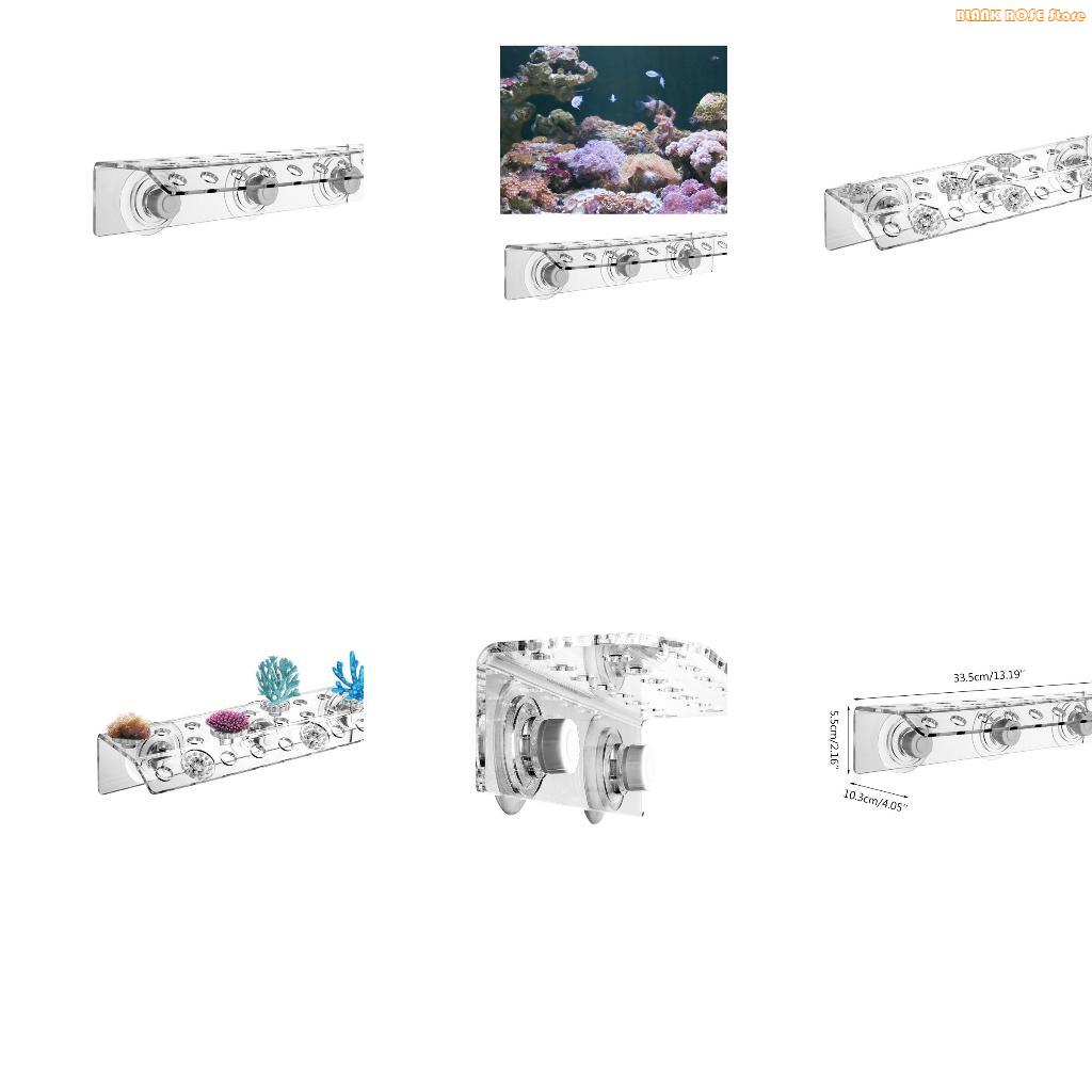 Reef Aquarium - Akvaryum için K1AE Akrilik Mercan Frag