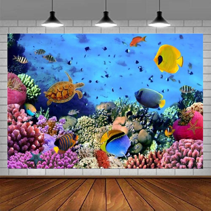 Aquarium Marine World - Deniz Altı Deniz Dibi Dünya Fotoğrafçılığı