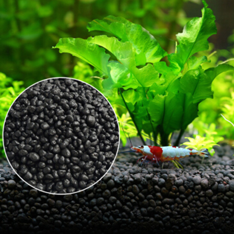 Ocean Aquarium - Akvaryum bitki tohumları toprak balık tankı