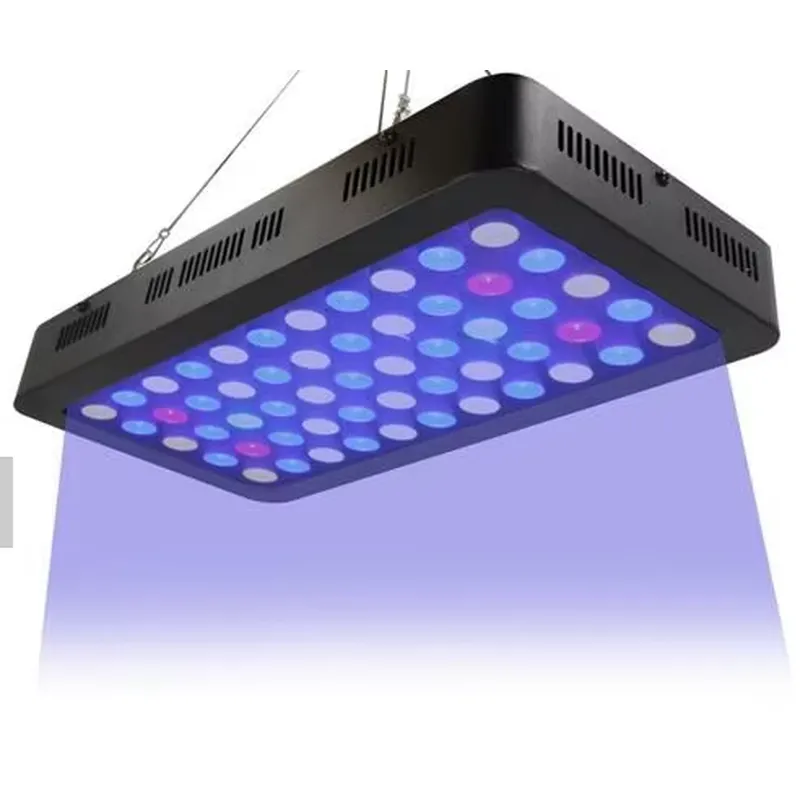 30cm 40cm 60cm 80cm WiFi Akvar - Reef Lighting incelemesi ve fiyatı
