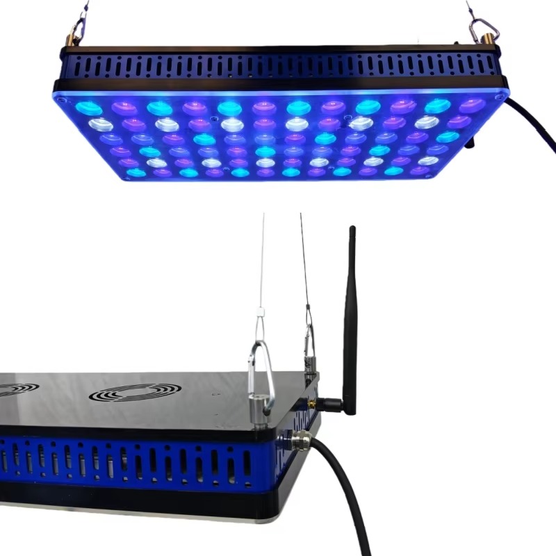 Kısılabilir Mercan Lambası, Ta - Reef Lighting incelemesi ve fiyatı