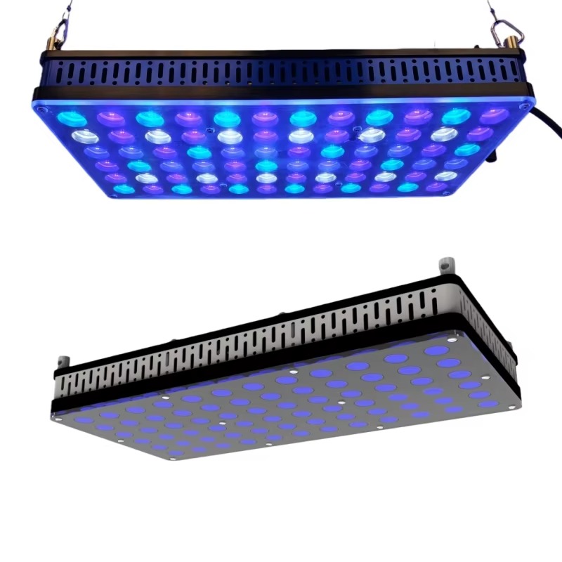 Kısılabilir Mercan Lambası, Ta - Reef Lighting incelemesi ve fiyatı
