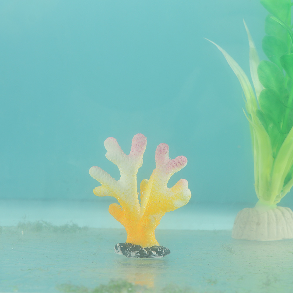 Yapay mercan balık tankı süsle - Reef Aquarium incelemesi ve fiyatı