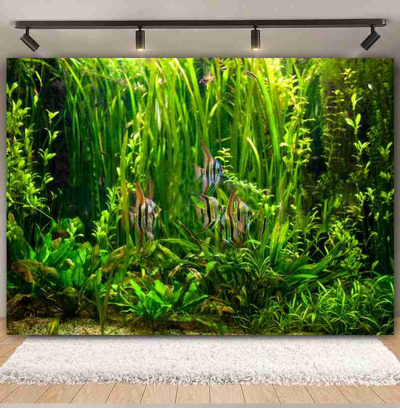 Deniz Altında Deniz Dibi Dünya - Aquarium Marine World incelemesi ve fiyatı