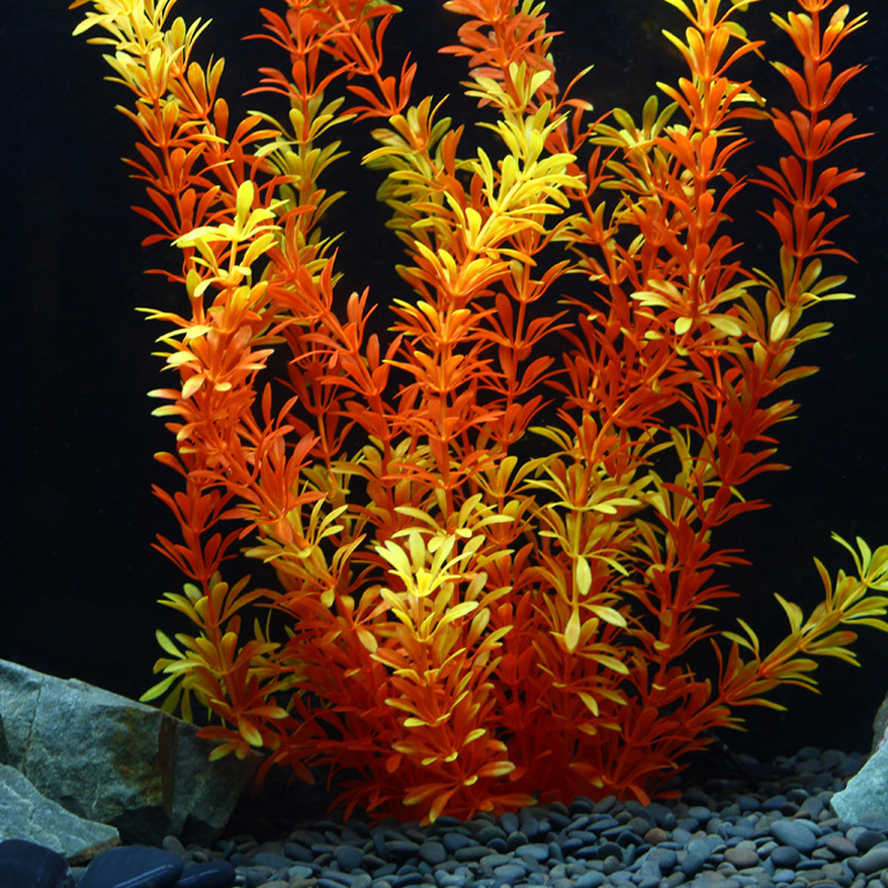 100cm Tropikal Bitkiler Büyük  - Ocean Aquarium incelemesi ve fiyatı