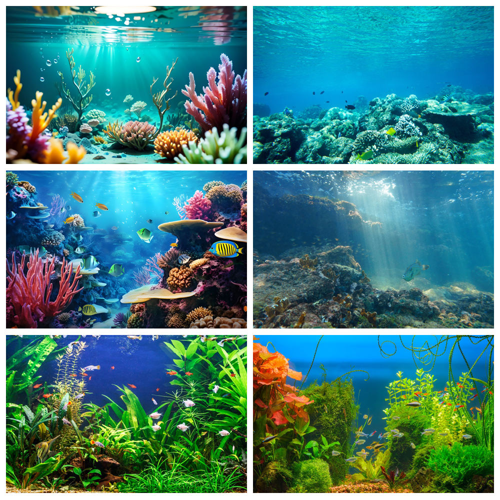 Sualtı Dünyası Deniz Tabanı Fo - Aquarium Marine World incelemesi ve fiyatı