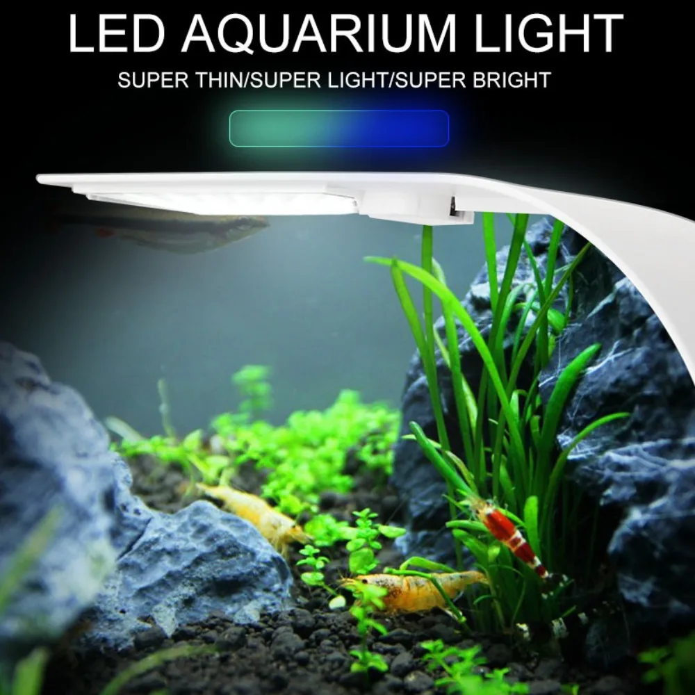 5W Mini LED Akvaryum Işık, Ult - Reef Lighting incelemesi ve fiyatı