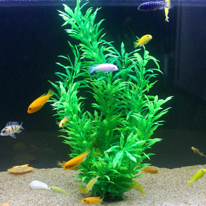 50 CM Yapay Balık Tankı Nadir  - Ocean Aquarium incelemesi ve fiyatı