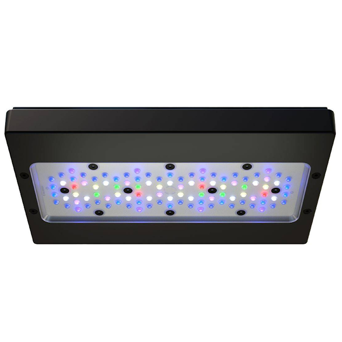 A8 PRO III Max ve Blue 245W Ta - Reef Lighting incelemesi ve fiyatı