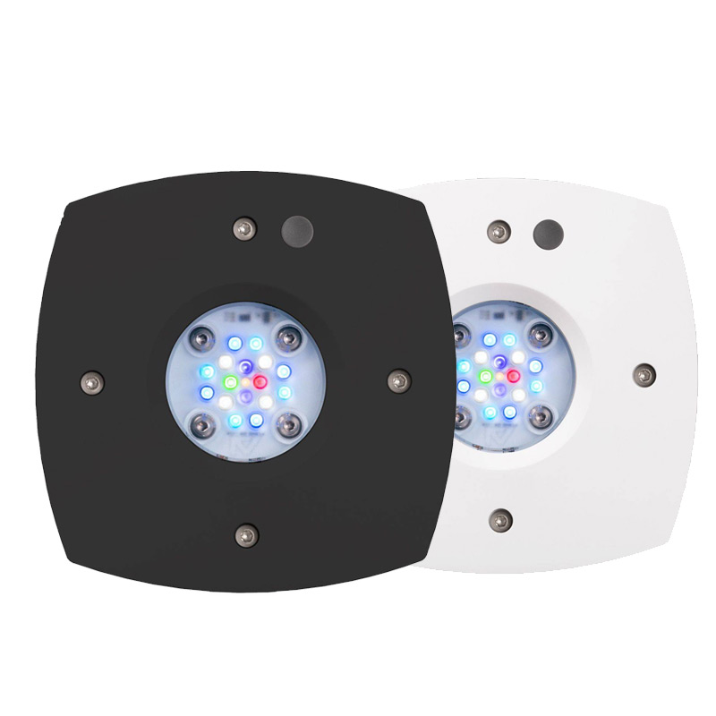 Prime 16HD LED Resif Işığı, Or - Reef Lighting incelemesi ve fiyatı