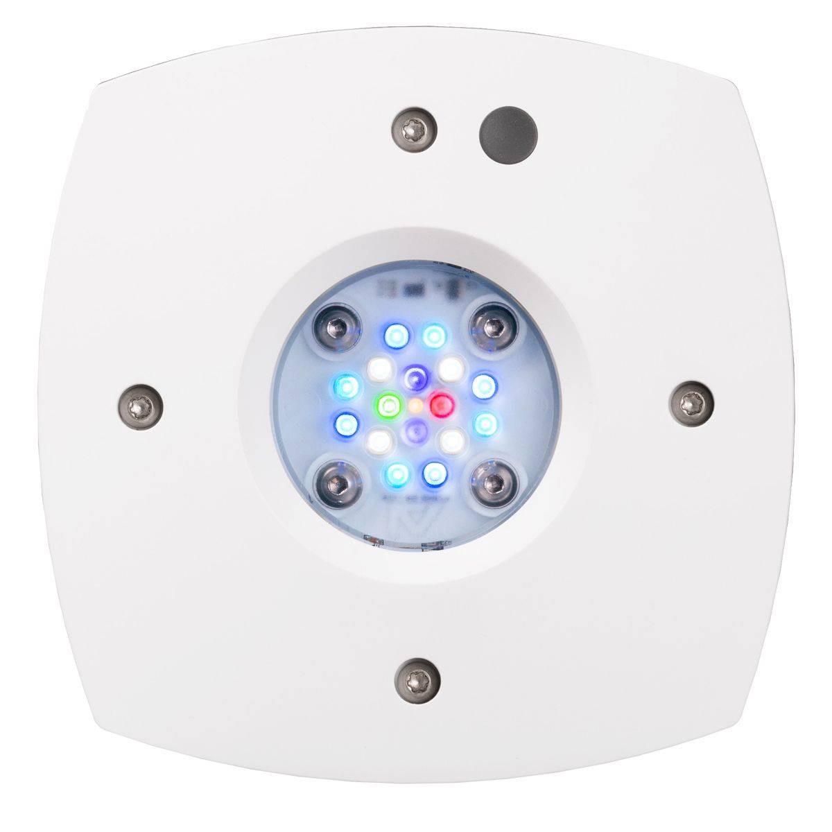 Prime 16HD LED Resif Işığı, Or - Reef Lighting incelemesi ve fiyatı